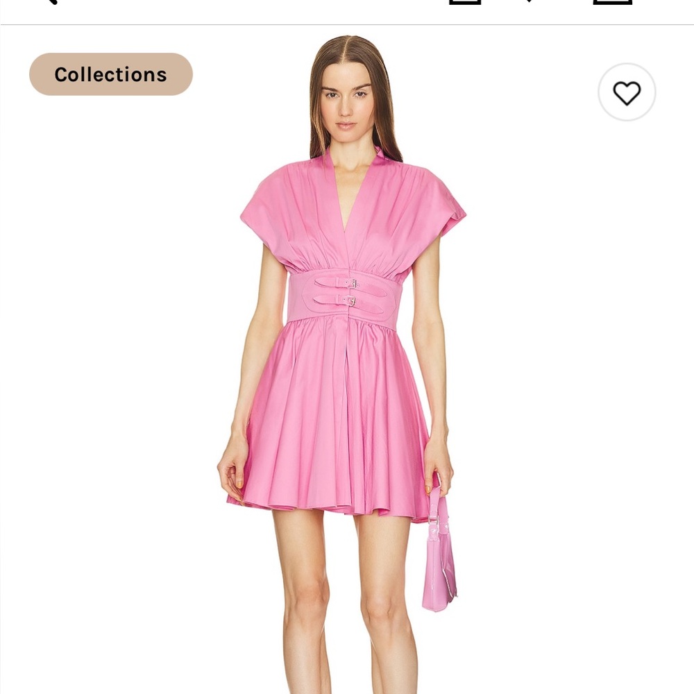 Alexis Fuchsia Mini Dress